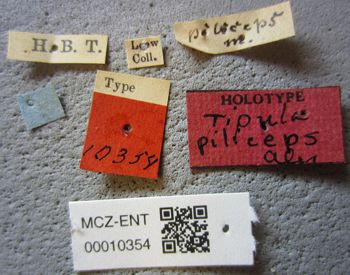 Media type: image;   Entomology 10354 Aspect: labels